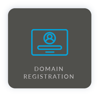 Professional Domain Registration and Management Icon