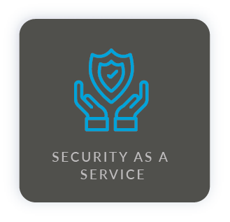 Managed Security as a Service (SECaaS) Icon