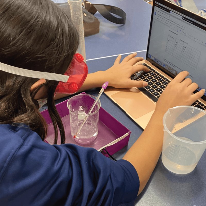 Spera Partners Success Story St. Bede School